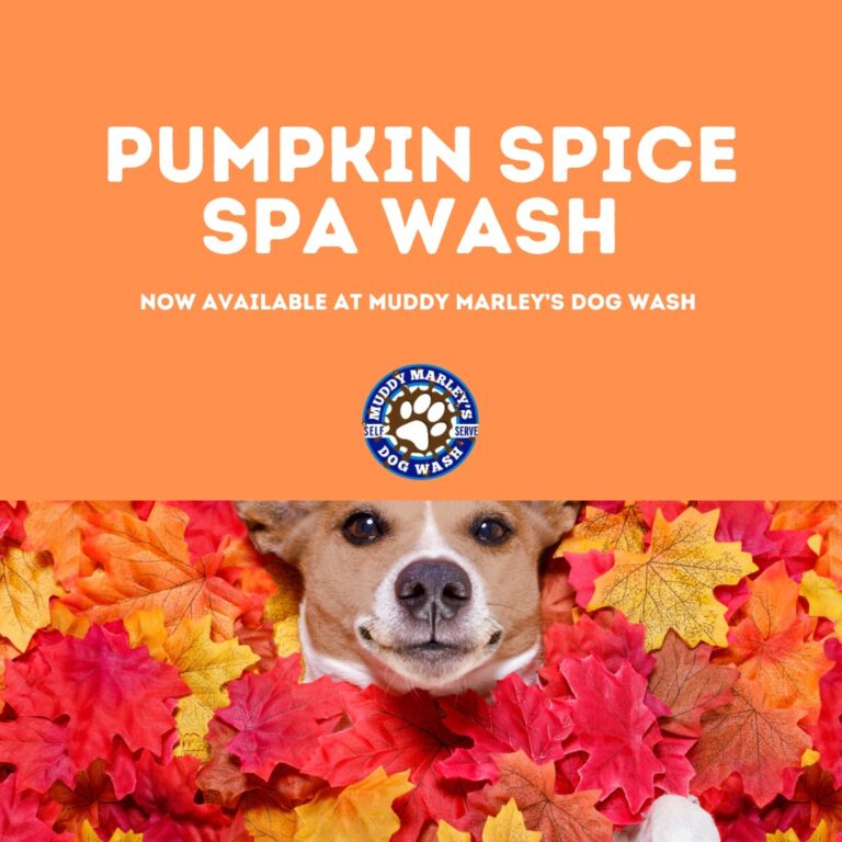 Quality Pet Care Dog Wash Service Muddy Marley's Dog Wash