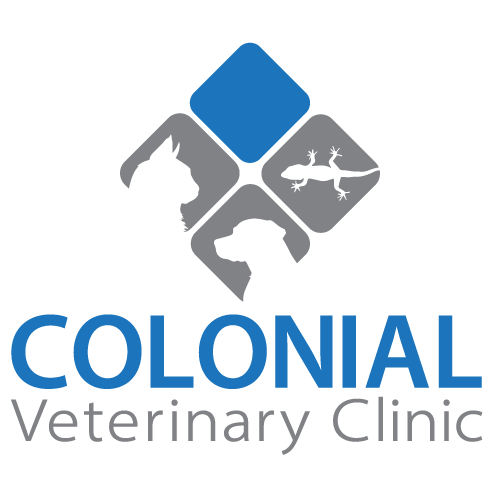 CVC-Vertical---Ruth-Redbird---500x500