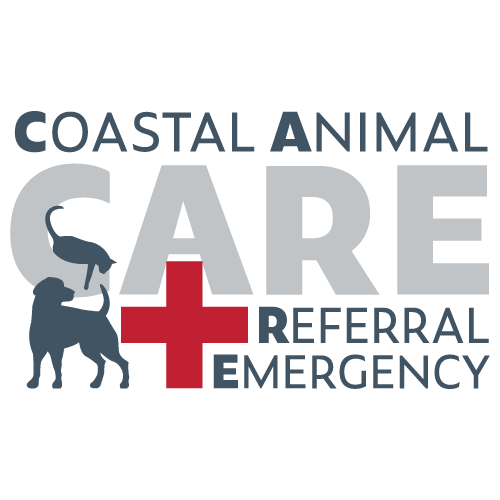Care---500x500